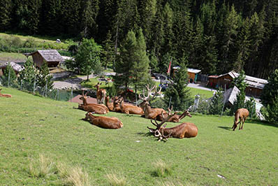 Holiday 2020 Austria